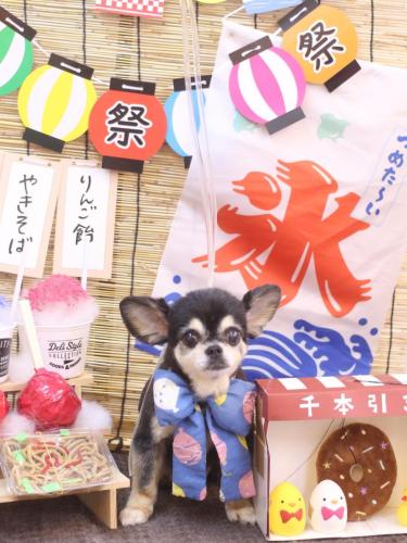 20240704モカちゃん